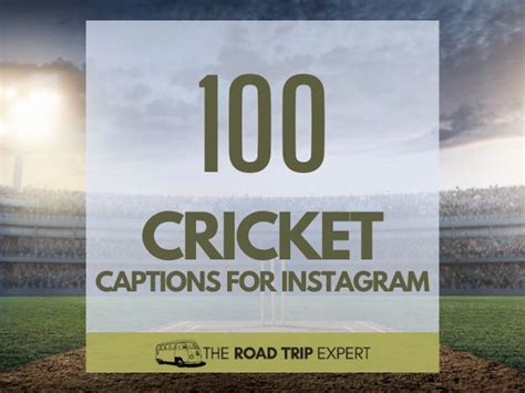 Good Cricket Captions For Instagram With Puns Travel