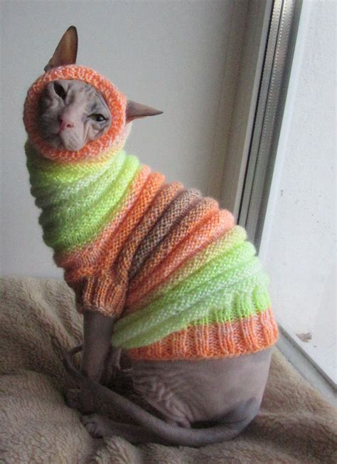 Clothing For Cats Clothes For Sphynx Cat Clothes Sweater Etsy In 2021