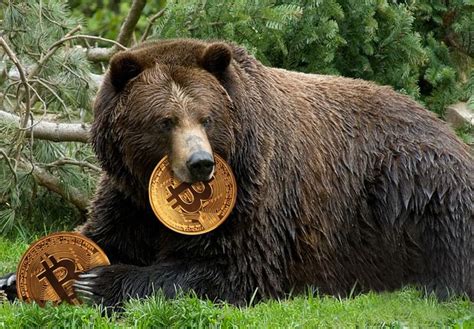 The latest tweets from crypto price alerts (@cmccryptoalerts). Bitcoin bears are stalking crypto prices — here's how low ...