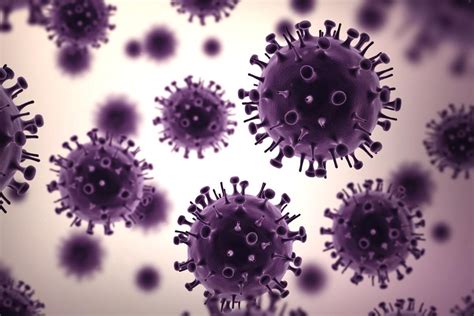 Study Suggests The Seasonal H1n1 Flu Virus May Be A Direct Descendant