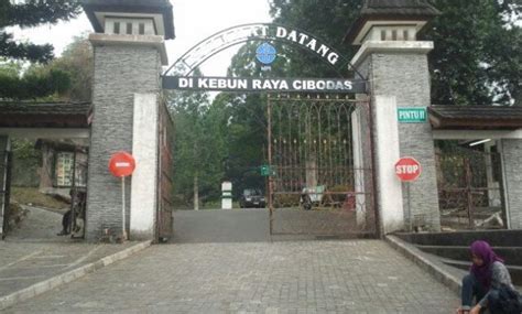 Obyek wisata ini sangat cocok untuk kegiatan piknik. 10 Gambar Kebun Raya Cibodas Cianjur, Harga Tiket Masuk Lokasi Alamat Jam Buka Tutup Nomer ...