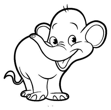 Mewarnai Gambar Gajah Anak Tk Menggambar Bunga Anggrek Kartun Imagesee