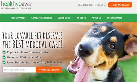 How to find the best pet insurance plan for your clients ...