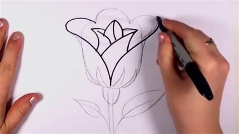 Cara Mudah Menggambar Bunga Mawar Youtube