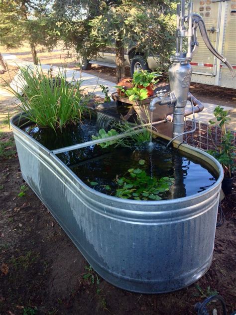 I have wanted it to be a pond for several years. Our metal water trough, water plants, antique well pump ...