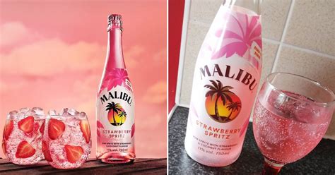 This gives malibu a great taste and makes it an easy to drink and mix product. Malibu Strawberry Spritz Rum Cocktail | POPSUGAR Food