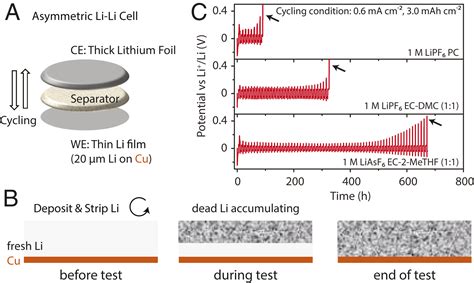 Design Principles For Self Forming Interfaces Enabling Stable Lithium