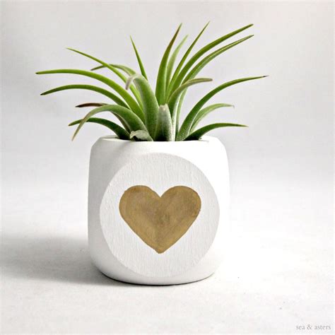 Gold Heart Valentine Air Plant Container Planter Home Etsy