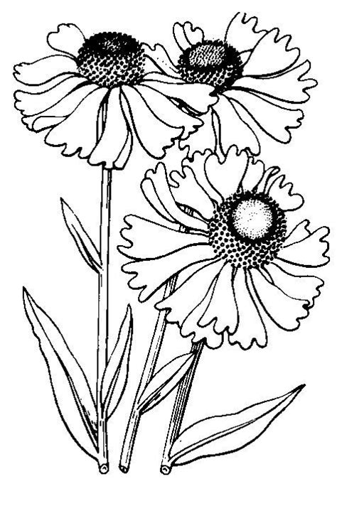 Flower doodles art sketches tattoo drawings plant drawing drawings flower drawing black pen drawing tattoo stencils. flower illust에 대한 이미지 검색결과 | Rajzok, Grafika, Színező