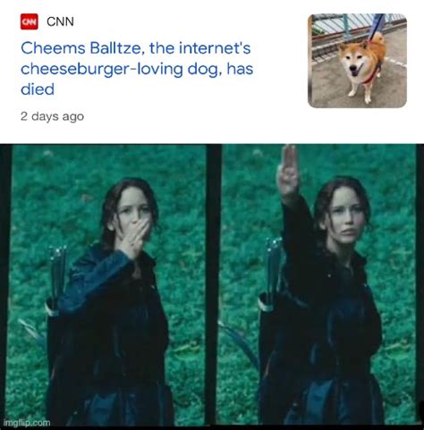 Respect Imgflip