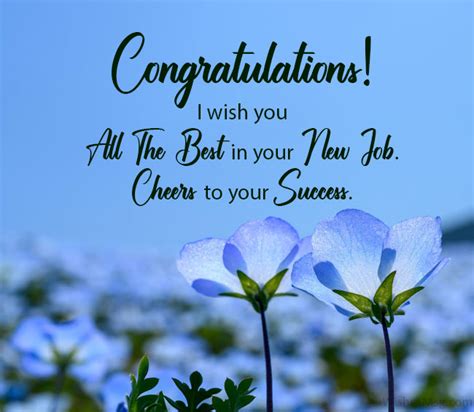 160 Best Wishes For New Job Congratulations Messages Wishesmsg