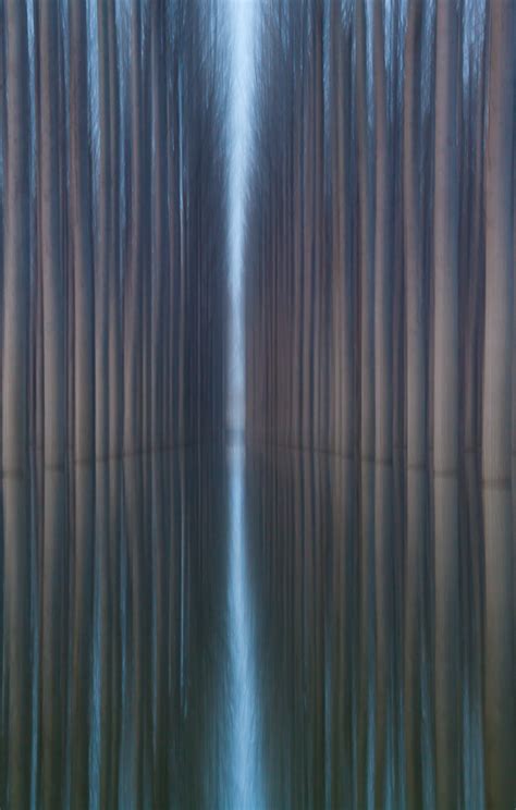 Amazing Landscapes Featuring Rows Of Symmetrical Trees