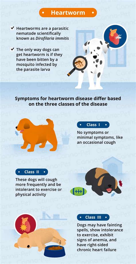 Reddit are cat fanboys and will unleash their eternal scorn if you say bad things about cats. Common Causes of Puppy Coughing | Canna-Pet®