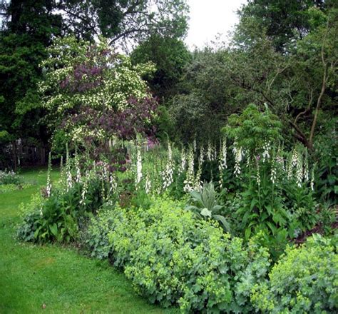 38 Wonderful Woodland Garden Ideas Easy To Create Page 32 Of 35
