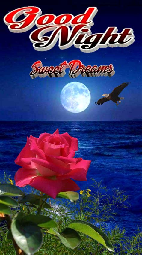 Pin by Bindawattie Maharaj on Good Night in 2020 | Good night image, Good night sweet dreams ...