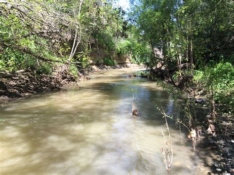 Stevens Creek Toxicity Tmdl