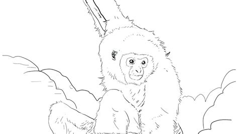 Orangutan Coloring Page at GetColorings.com | Free printable colorings
