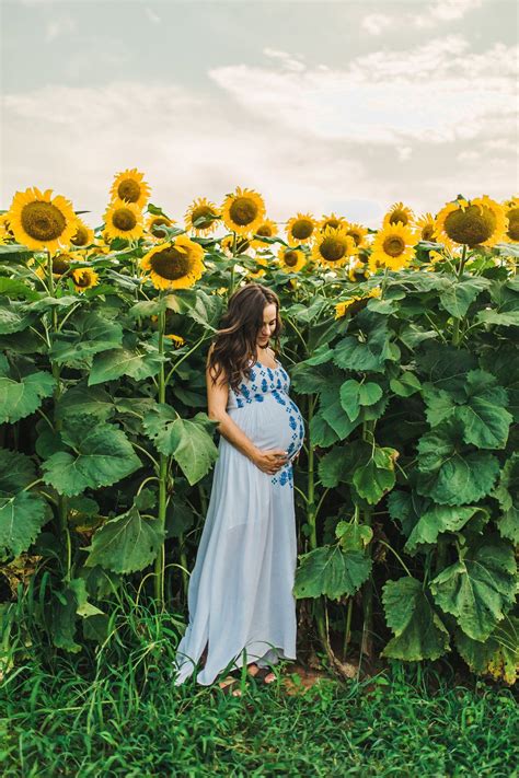 sunflower field maternity nashville tennessee photographer michelle christine photogr… in