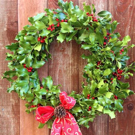 How To Make A Holly Wreath Ehow Christmas Wreaths Diy Easy