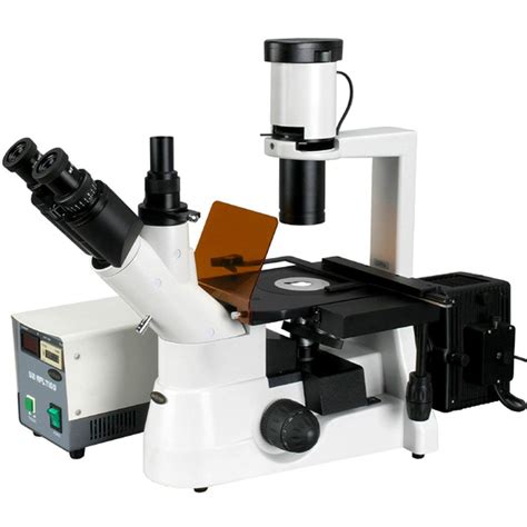 Los 11 Mejores Microscopios De Fluorescencia Octubre 2020 Comparativa