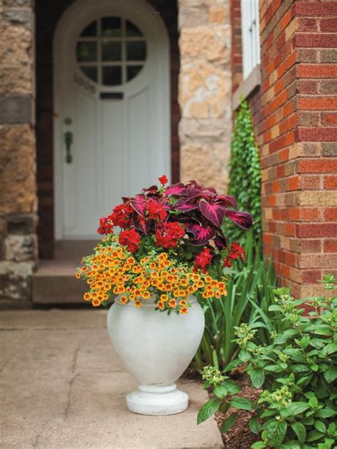 A Gallery Of Beautiful Container Garden Ideas
