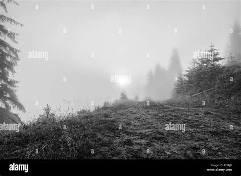 Foggy Morning Landscape Stock Photo Alamy