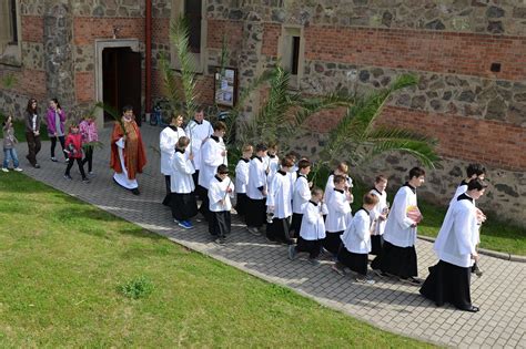 Na květnou neděli si připomínáme den, kdy pán ježíš slavnostně přijel do jeruzaléma. Římskokatolická farnost Bílovice nad Svitavou » Archiv ...