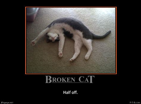 Broken Cat By Popeyetheob On Deviantart