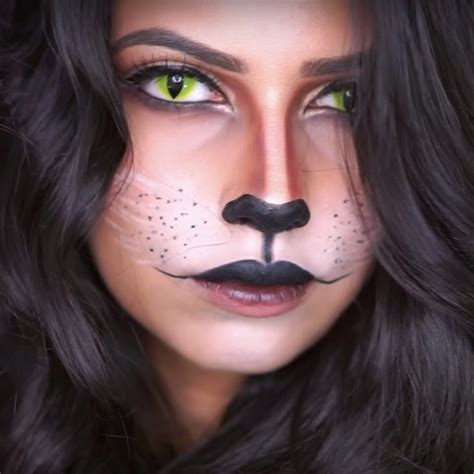 Cat Nose Halloween Makeup