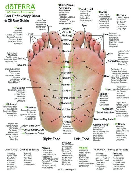 Chinese Foot Chart Reflexology