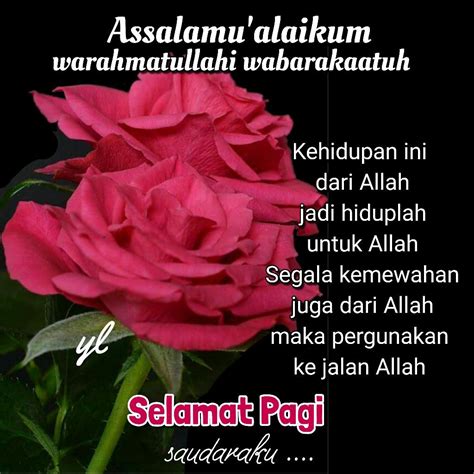1100+ ucapan terimakasih islami, romantis, lucu, sopan, bijak Assalamualaikum Doa Ucapan Selamat Pagi Islami - UCAPANKU