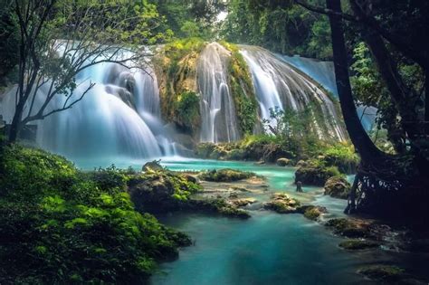 Cinco Cosas Que Debes Hacer En Las Cascadas De Agua Azul En Chiapas