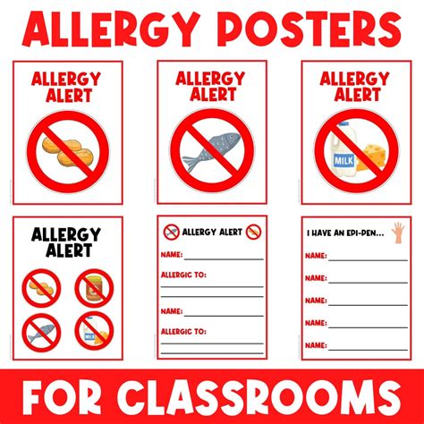Allergy Alert Classroom Poster Signs Decor Visual Printable Signs