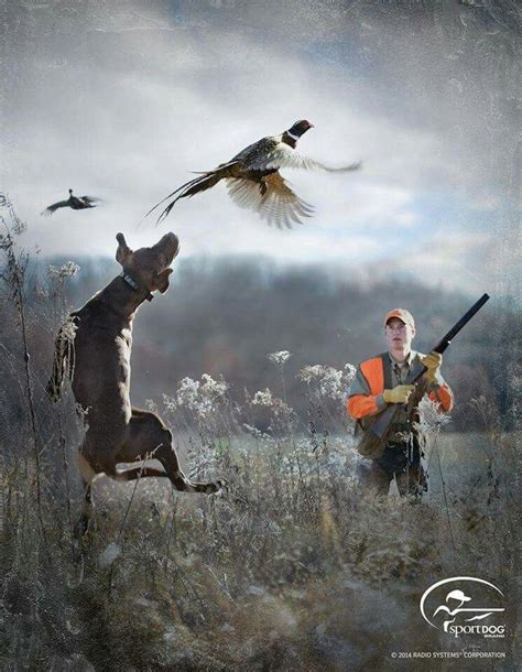 Pheasants Forever Hunting Vest Hunting Guns Hunting Trip Hunting