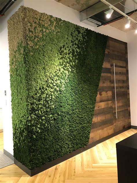 Moss Walls Npk Associates Inc