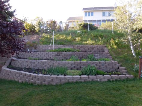Of Books and Blooms: Vegetable Garden and Back Slope: Then & Now