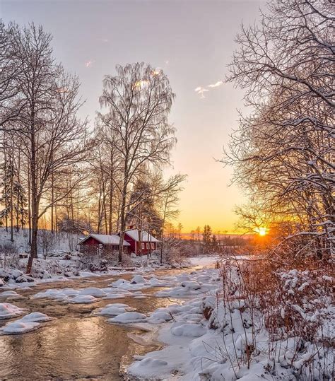 🔹the Best Of Finland Feature🔹 Featured Artis Winter Sunrise Winter