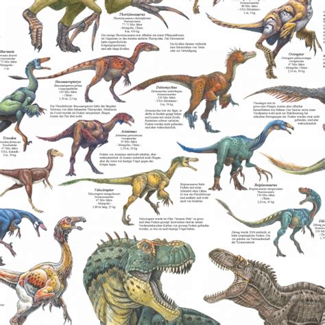 Sachposter Poster Gefiederte Dinosaurier