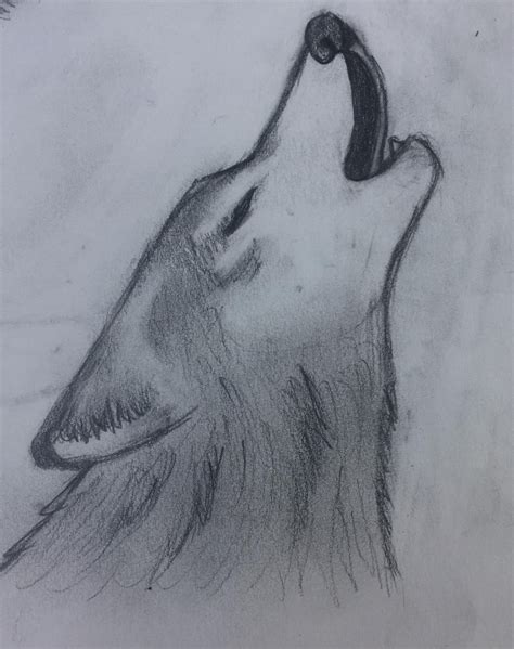 20 Drawing Of Wolf Ears Lukegursimer