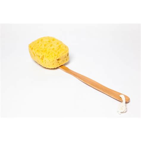 Natural Look Synthetic Sponge On Stick