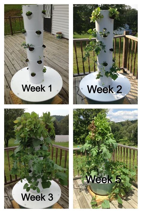 The planting tower can be used (based on the diameter) for strawberries, lettuce, (bigger pipes) pansies and other small summer flowers (smaller di… My first aeroponic tower garden!!! shartley.towergarden ...