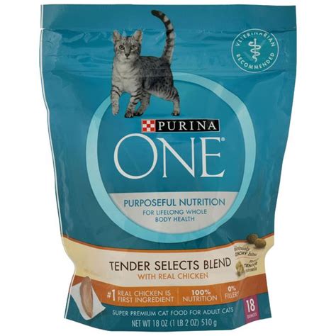 Best Dry Cat Food For Senior Cats With Bad Teeth Cat Lovster