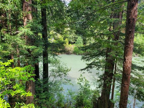 Gualala River Redwood Park In California Bookyoursite