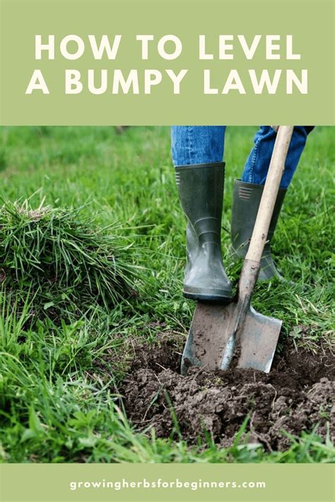 How To Level A Bumpy Lawn In 2020 Lawn Care Lawn Garden Tools