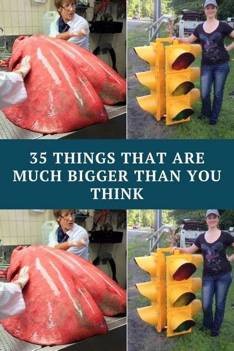 35 Things That Are Way Larger Than You Think They Are In 2020 With
