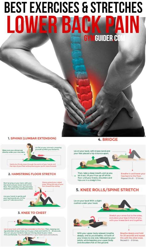 A Simple Exercise Program That Stretches And Strengthens The Lower Back