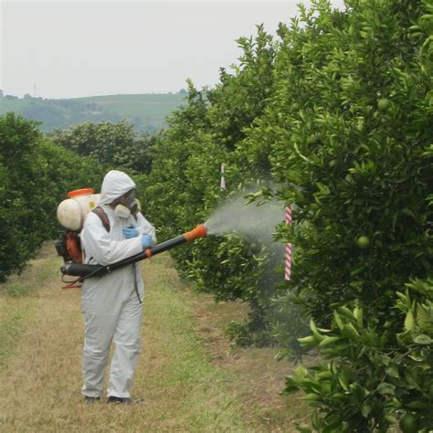 May 08, 2018 · the fruit on apple trees with excessive nitrogen fertilization may also have a tendency to have bitter pit, an apple spotting disorder that is also linked to a calcium deficiency. Bioefficacy (GEP) services - SynTech Research