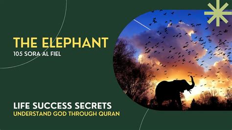 The Elephant Sura Al Fiel Quran Trust On God Youtube