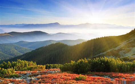 Morning Sunshine With Fog Beautiful Mountain Scenery Picture 2560x1600