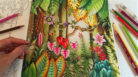 Magical Jungle Adult Coloring Book By Johanna Basford Coloring With